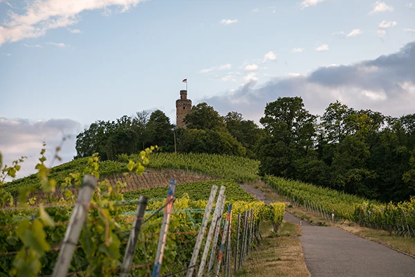 Immobilien Leingarten